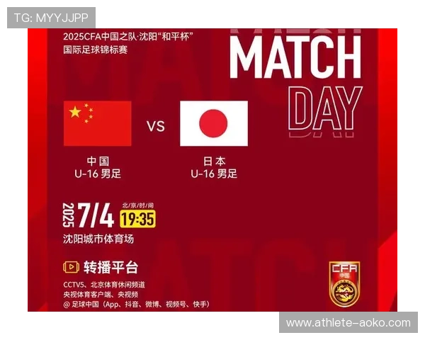 退役中国球星深度剖析中国足球现状与未来发展路径